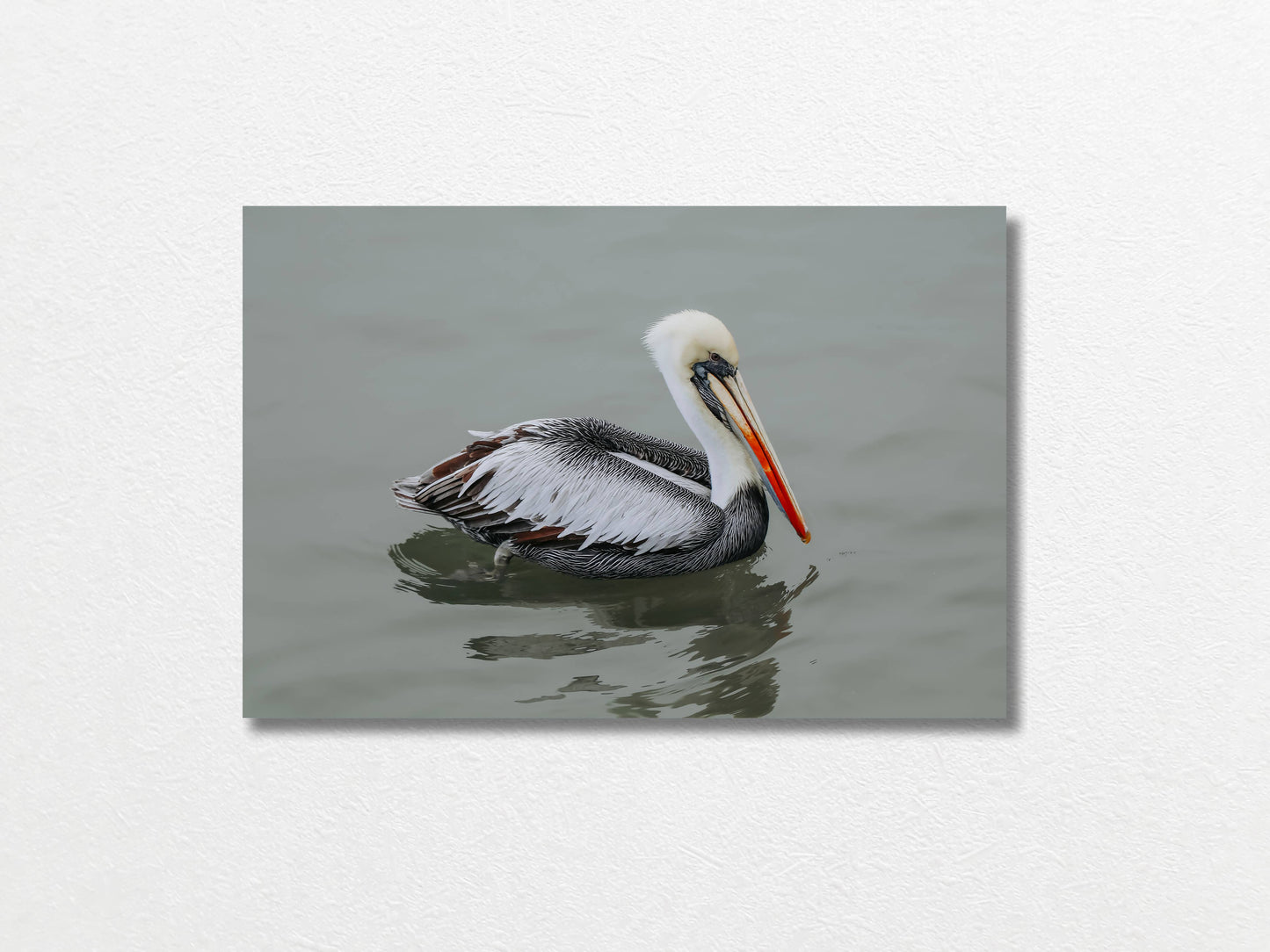 Pelican STILL WATER, WILD SOUL Unframed Photo Poster