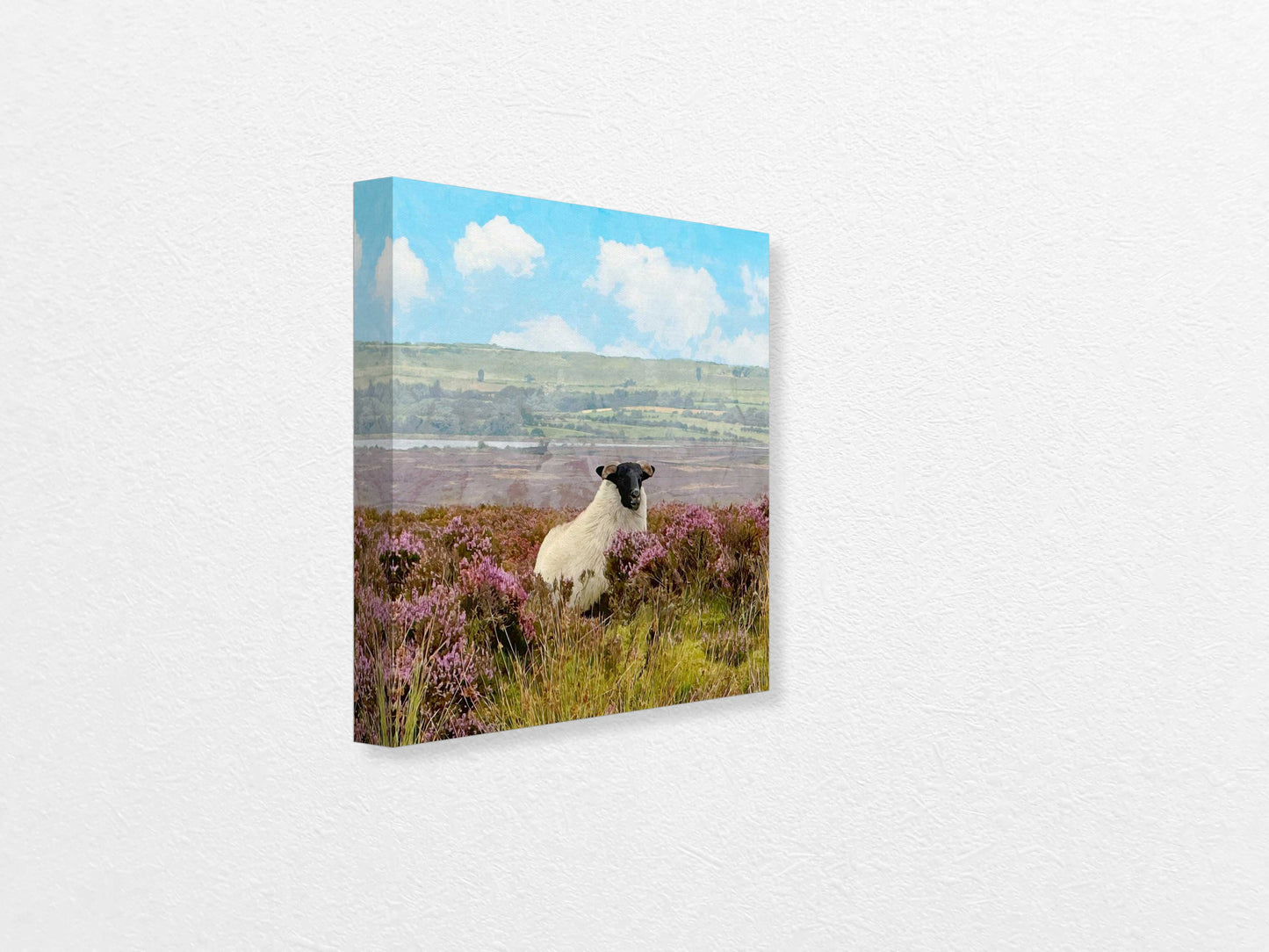 Canvas print of a sheep in a field with purple flowers and a blue sky.