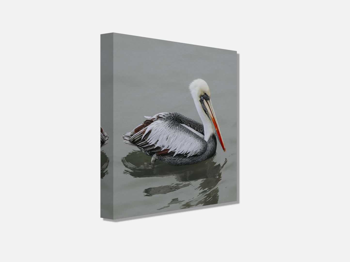 Pelican STILL WATER, WILD SOUL Photo Canvas Print