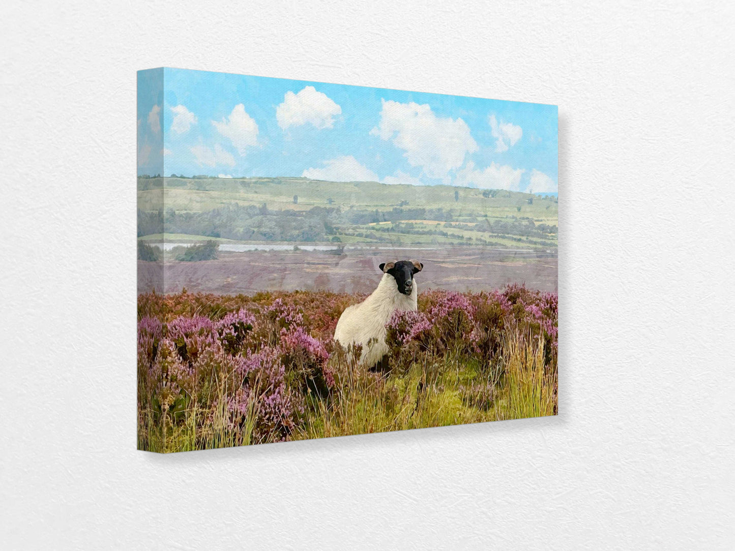 SHEEP ON THE FIELD Canvas Print