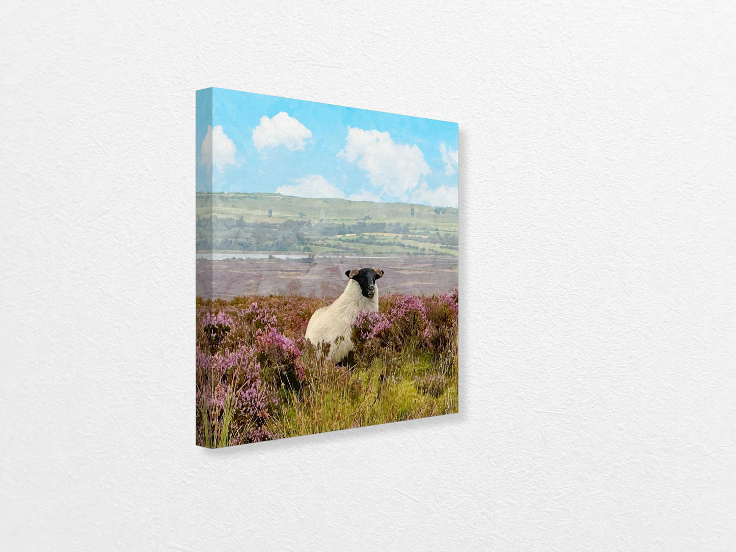 Canvas print of a sheep in a field with purple flowers and a blue sky.