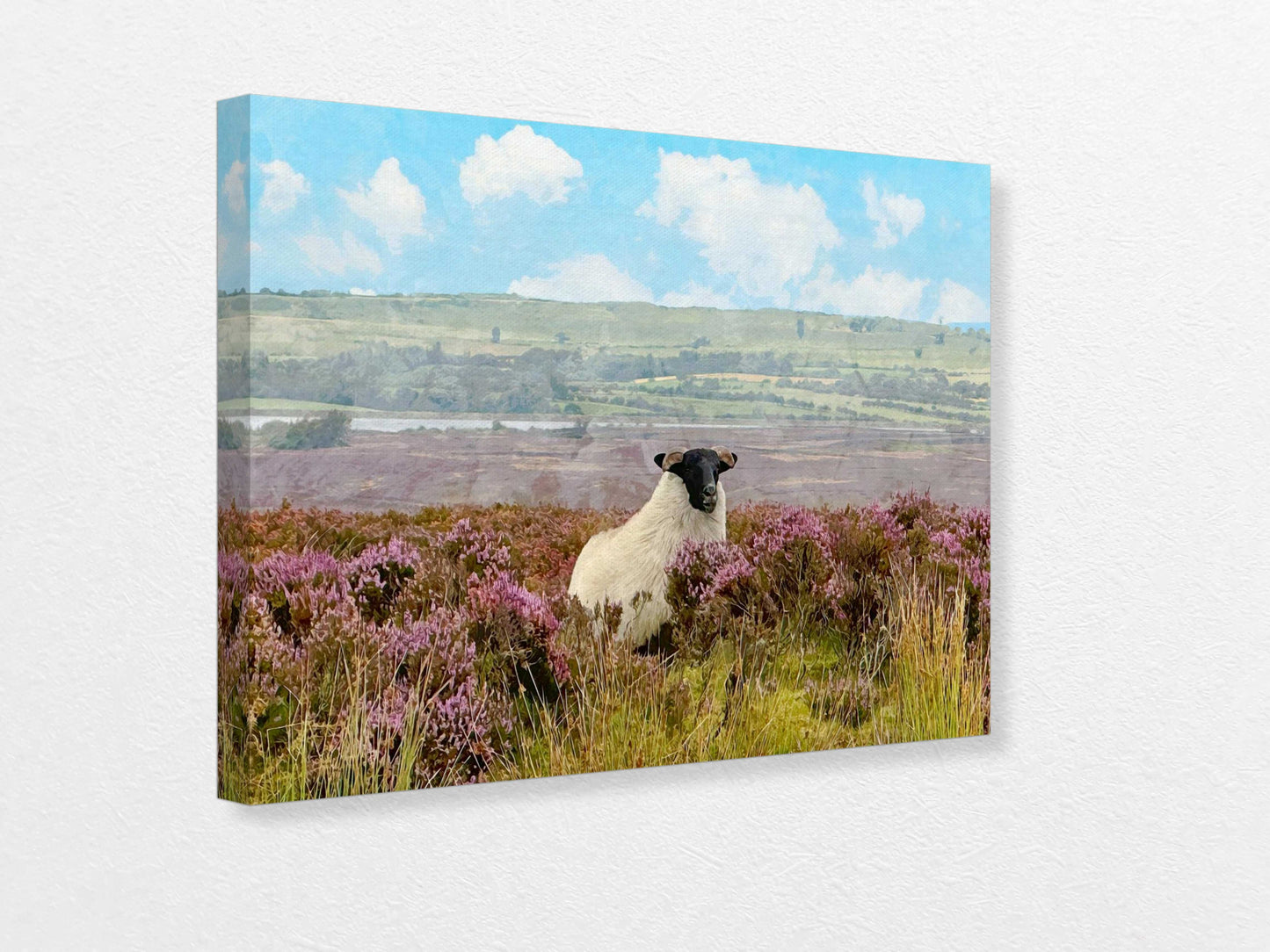 Sheep in a field with purple heather and a blue sky on a canvas print.