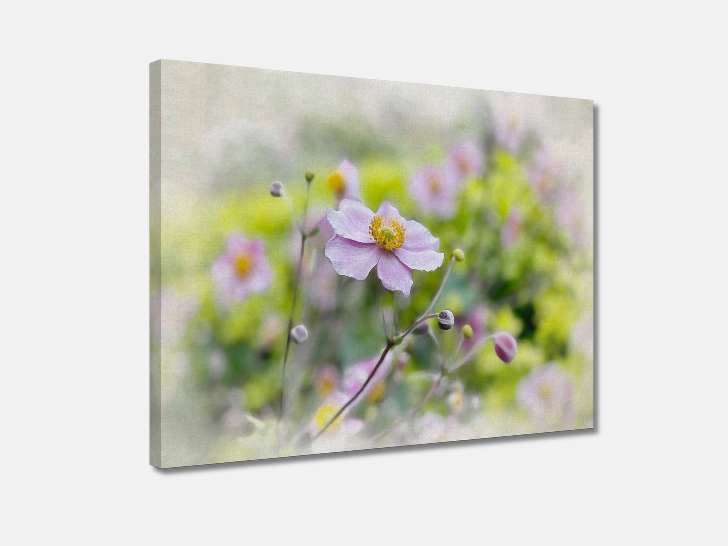 STILL IN BLOOM Canvas Print