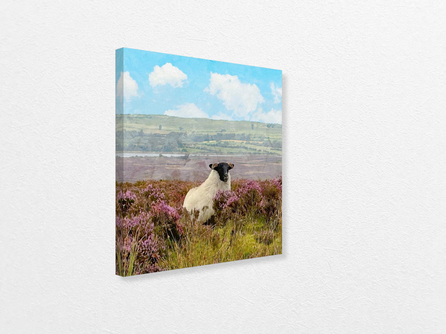 Canvas print of a sheep in a field with purple flowers and a blue sky.