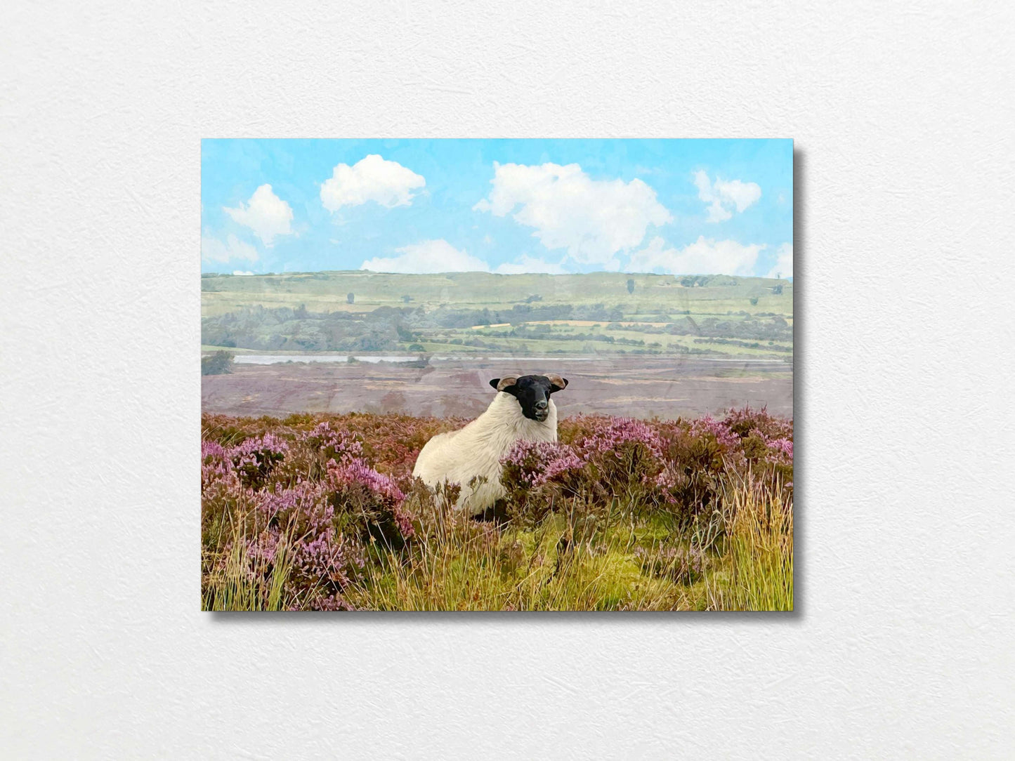 Sheep 40x50