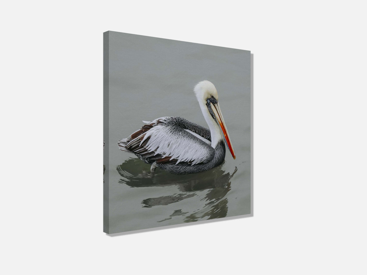 Pelican STILL WATER, WILD SOUL Photo Canvas Print