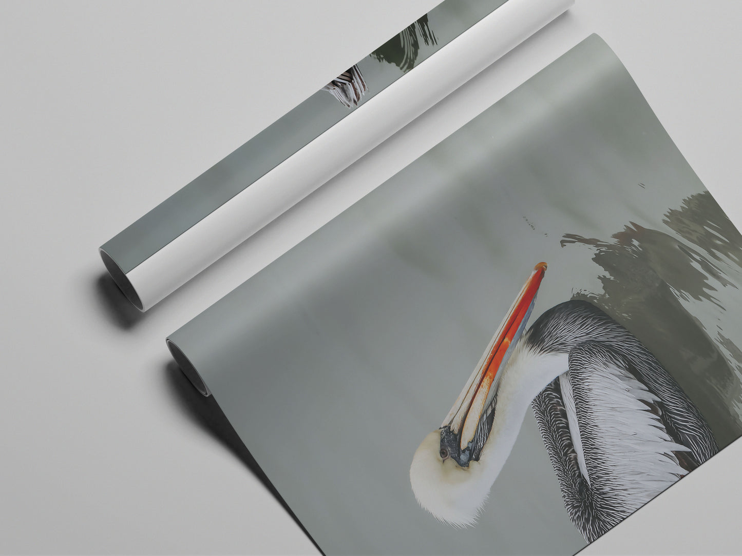 Pelican STILL WATER, WILD SOUL Unframed Photo Poster