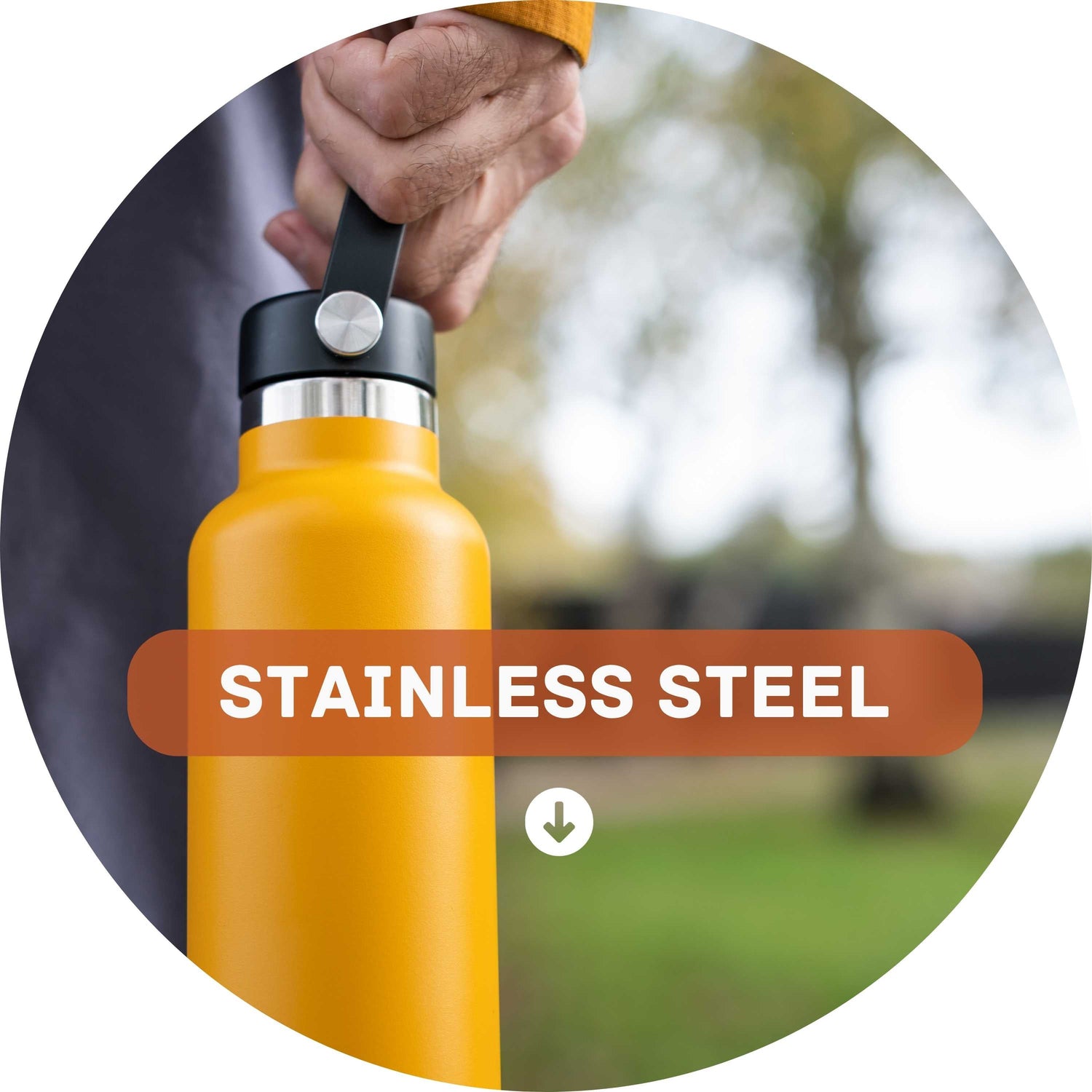 Stainless Steel Bottle