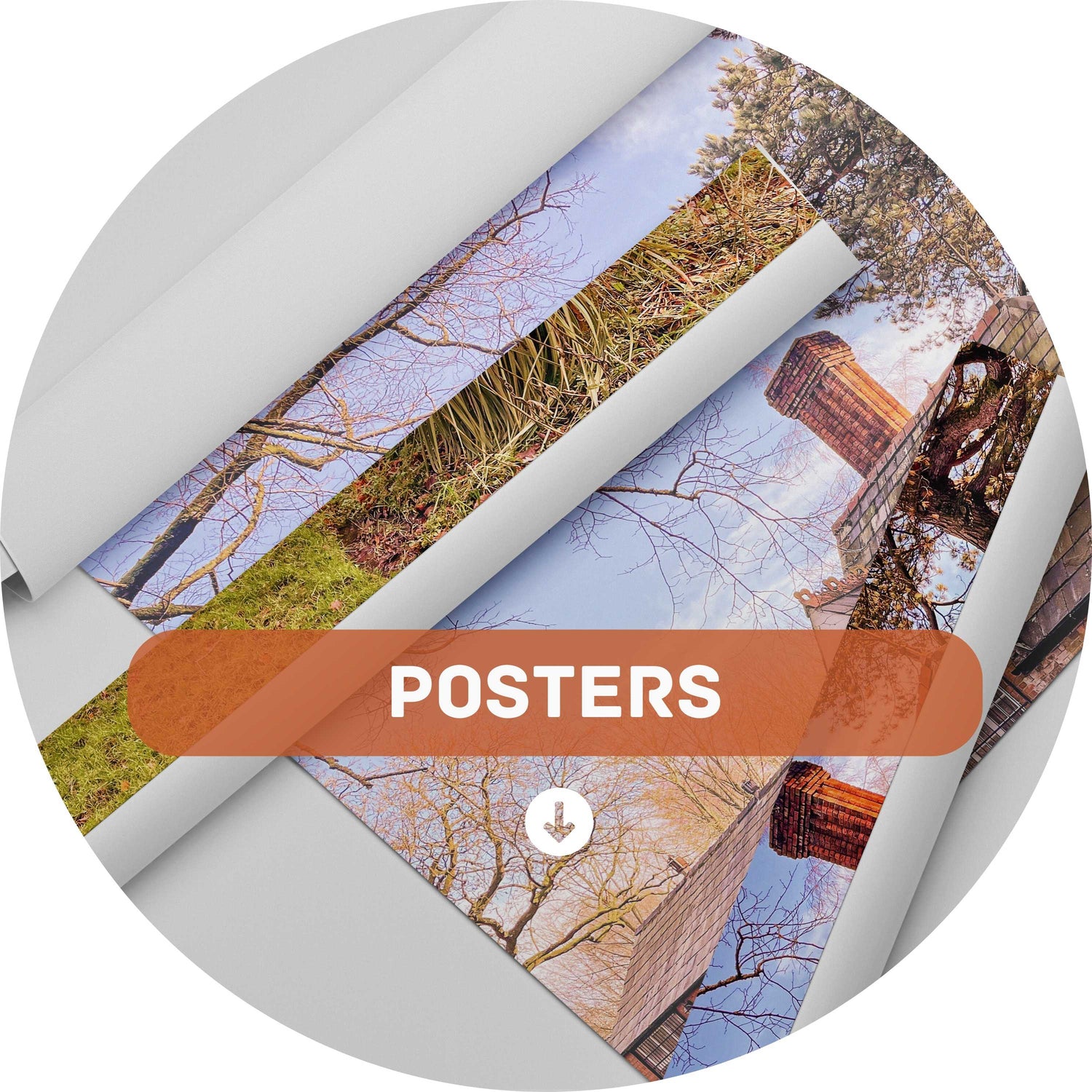 Posters