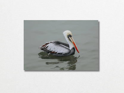 Pelican STILL WATER, WILD SOUL Unframed Photo Poster