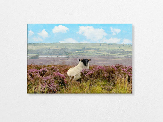 Sheep in a field with purple flowers and a blue sky