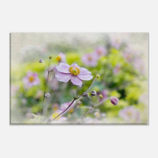 Still in Bloom - Close-up of a pink flower with a blurred green background