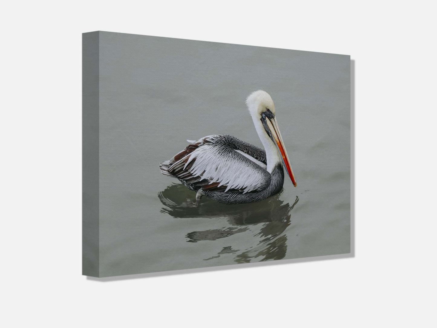Pelican STILL WATER, WILD SOUL Photo Canvas Print