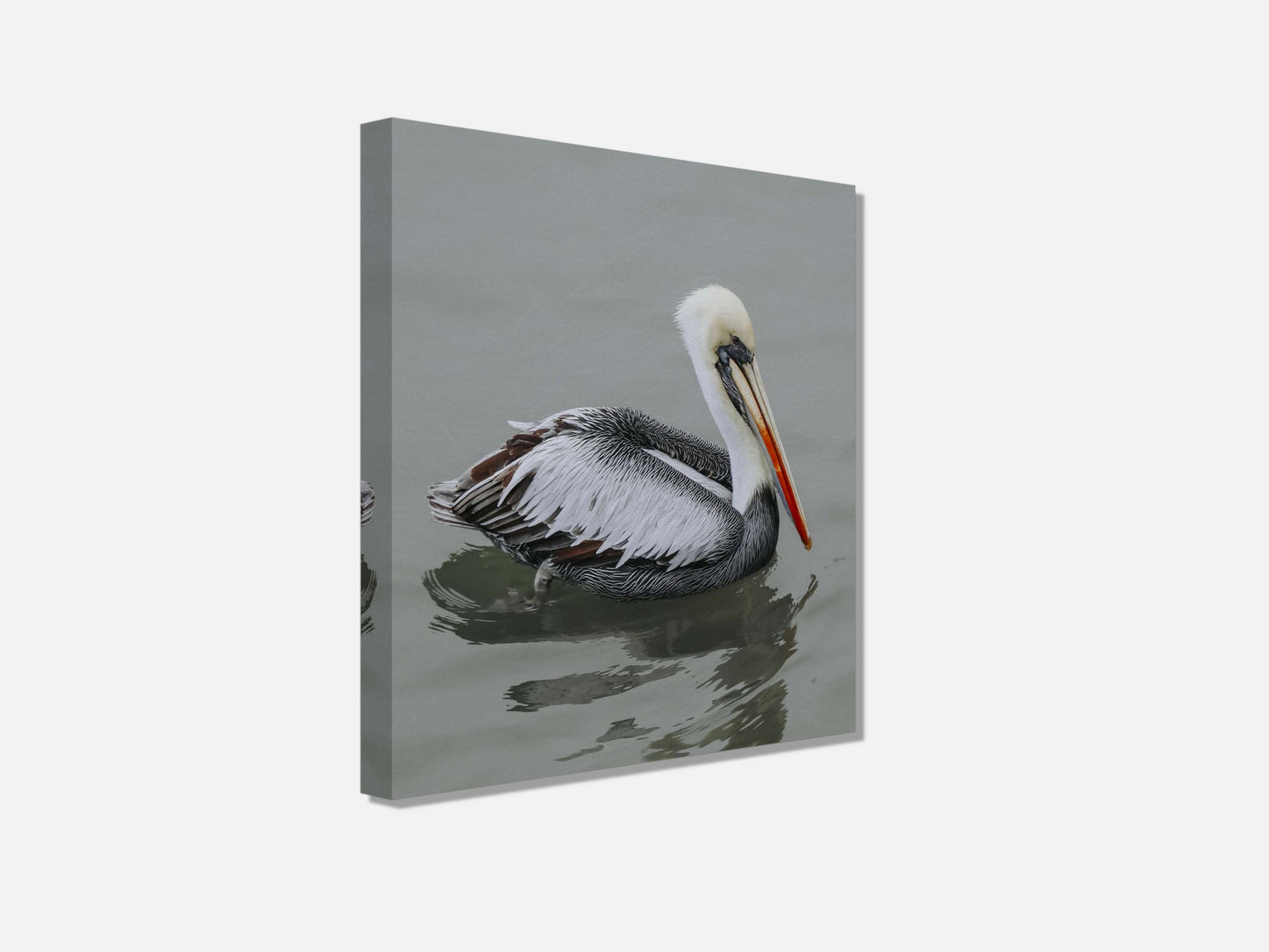 Pelican STILL WATER, WILD SOUL Photo Canvas Print