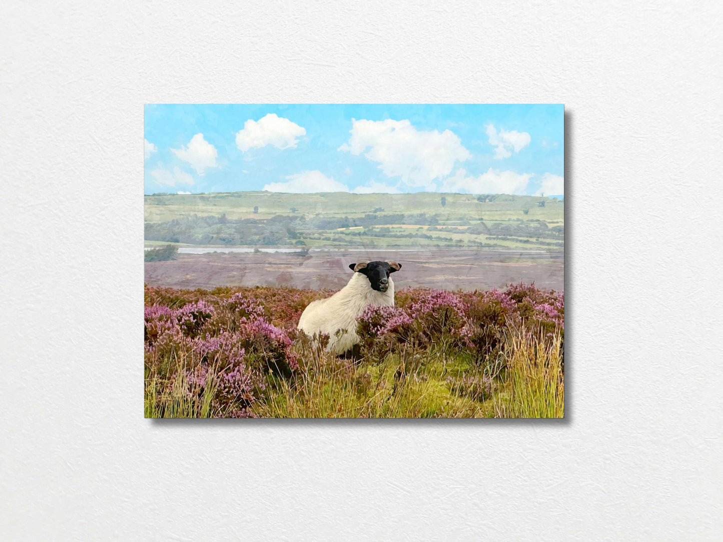 Sheep 30x40