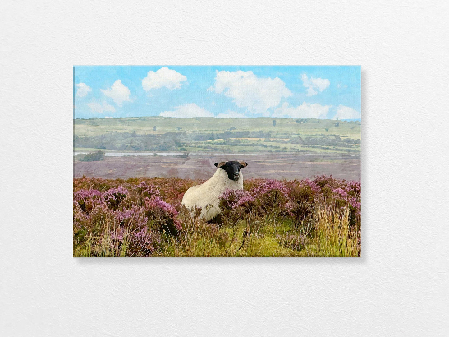 SHEEP ON THE FIELD Canvas Print