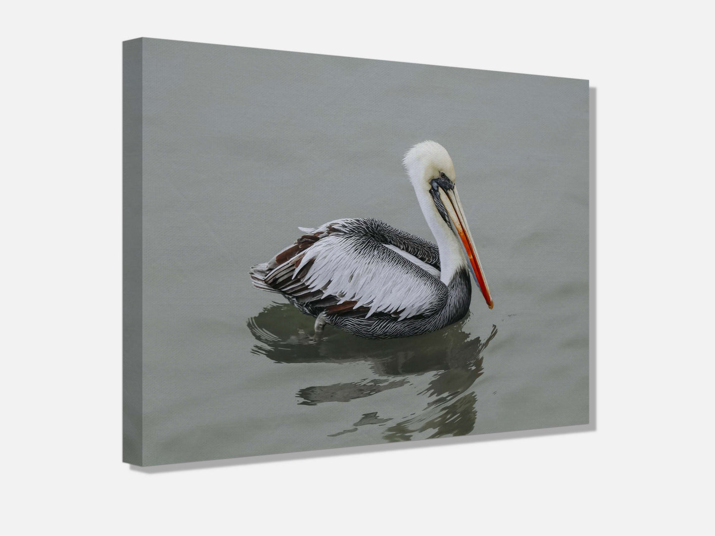 Pelican STILL WATER, WILD SOUL Photo Canvas Print