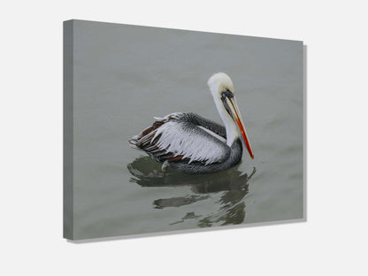 Pelican STILL WATER, WILD SOUL Photo Canvas Print