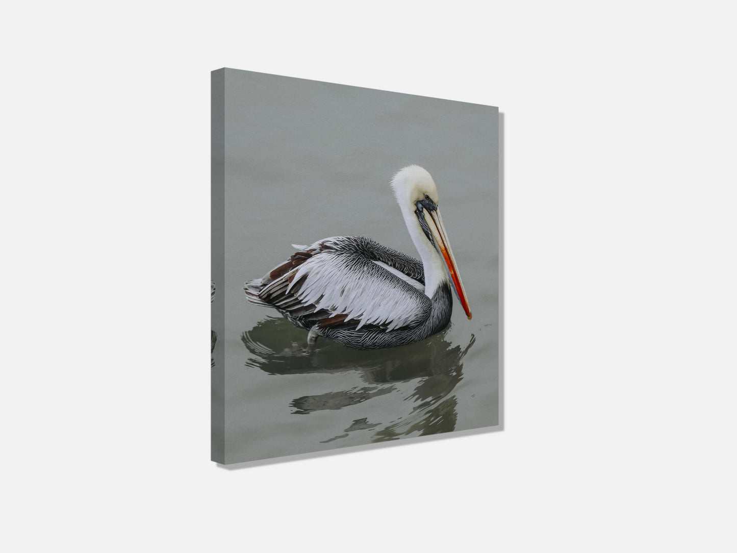 Pelican STILL WATER, WILD SOUL Photo Canvas Print