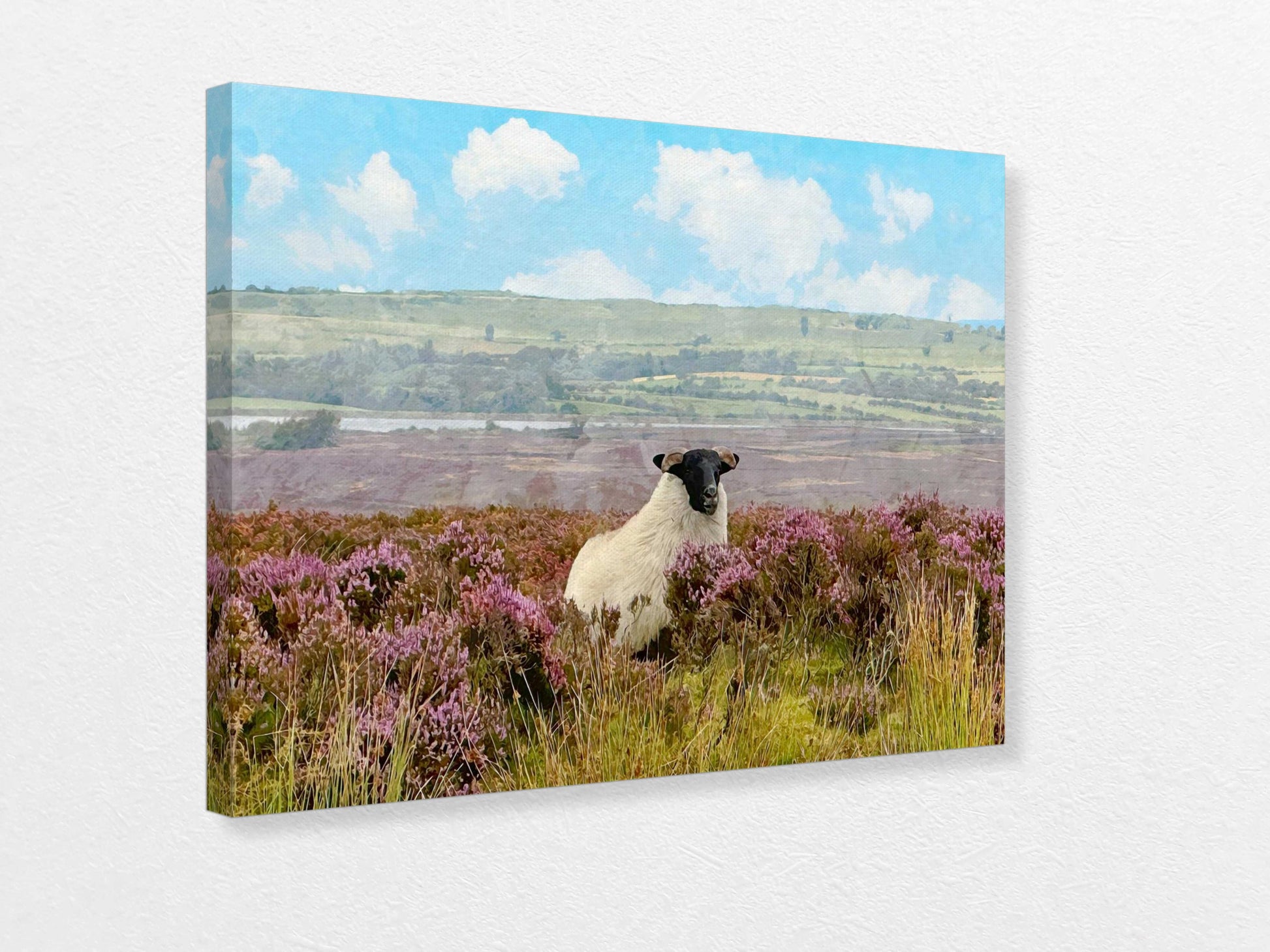 Sheep in a field with purple flowers and a mountainous landscape on a canvas print.