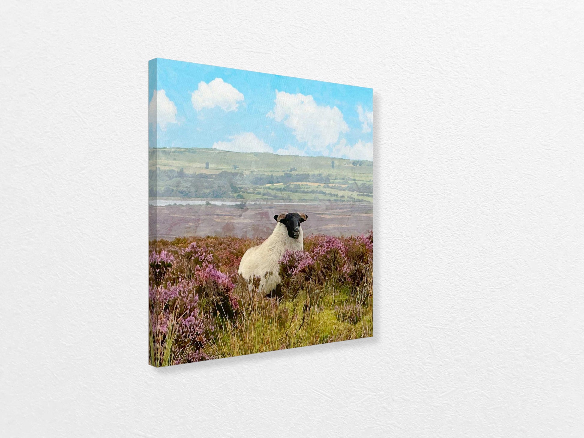 Canvas print of a sheep in a field with purple flowers and a blue sky.