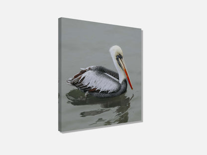 Pelican STILL WATER, WILD SOUL Photo Canvas Print