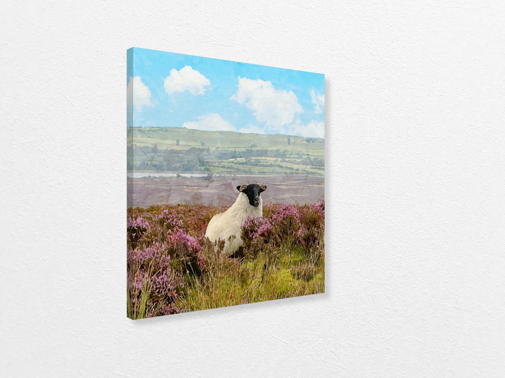 Canvas print of a sheep in a field with a scenic background