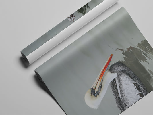 Pelican STILL WATER, WILD SOUL Unframed Photo Poster