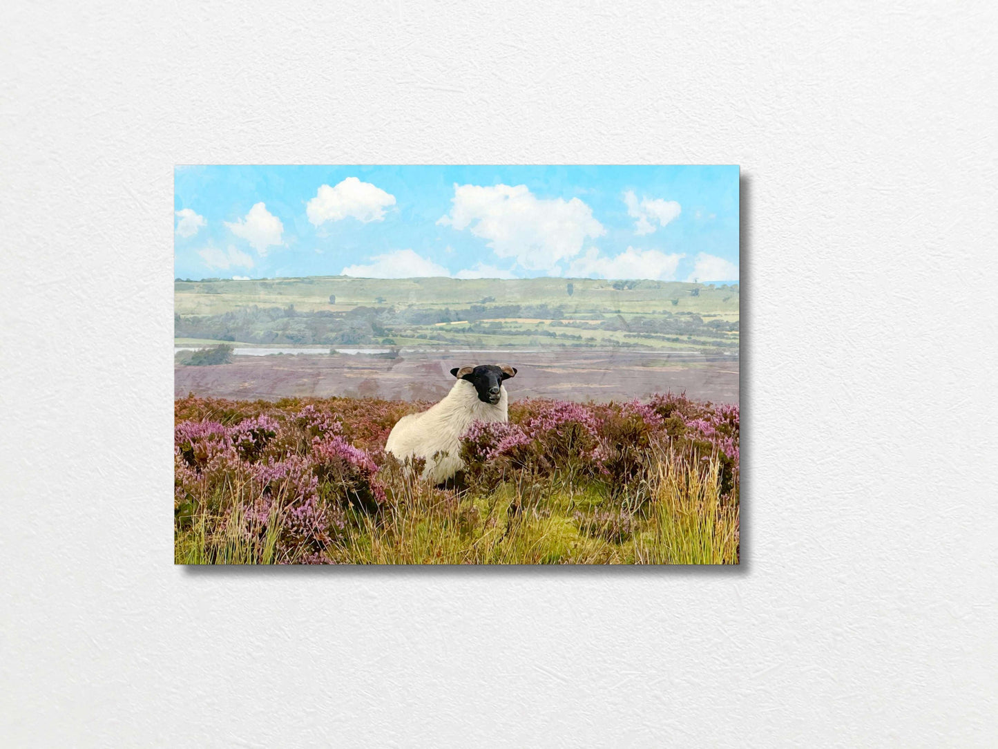 Sheep A3