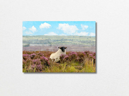 Sheep A4