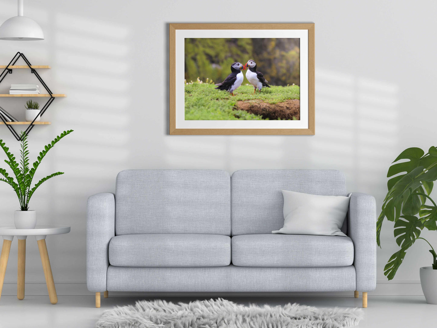 PUFFINS SEABIRDS ON THE ISLAND Poster Print