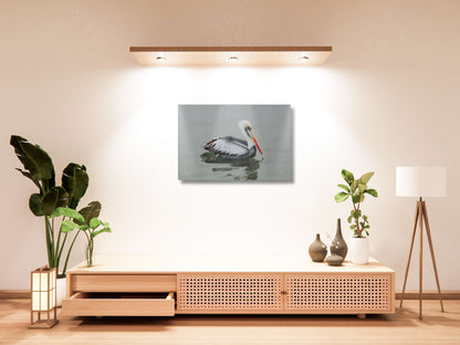 Pelican STILL WATER, WILD SOUL Photo Canvas Print